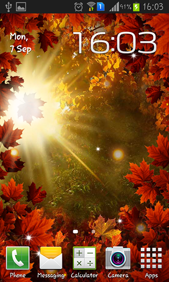 Скачать Autumn sun - бесплатные живые обои для Андроида на рабочий стол.