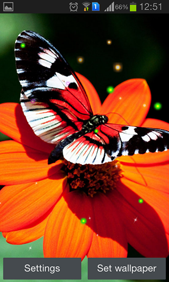 Скачать Best butterfly - бесплатные живые обои для Андроида на рабочий стол.