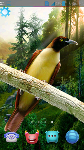 Скриншот экрана Birds 3D by AppQueen Inc. на телефоне и планшете.