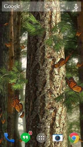Скачать Butterflies 3D - бесплатные живые обои для Андроида на рабочий стол.