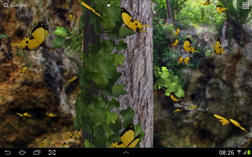 Скачать Butterfly 3D - бесплатные живые обои для Андроида на рабочий стол.