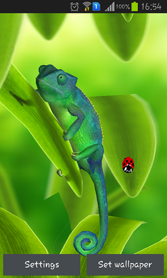 Скачать Chameleon 3D - бесплатные живые обои для Андроида на рабочий стол.
