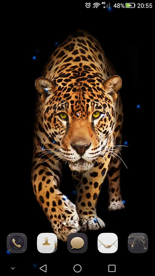 Скачать Cheetah - бесплатные живые обои для Андроида на рабочий стол.