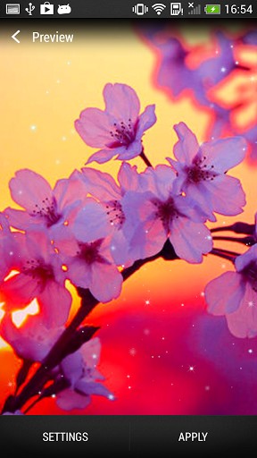Скачать Cherry blossom - бесплатные живые обои для Андроида на рабочий стол.