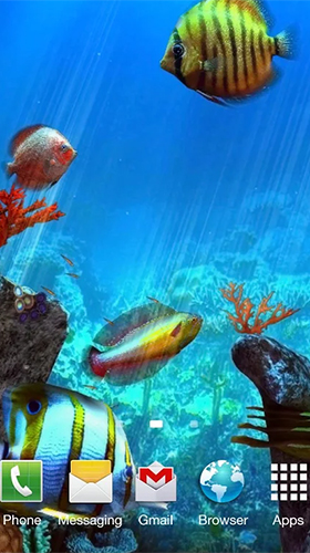 Скриншот экрана Clownfish aquarium 3D на телефоне и планшете.