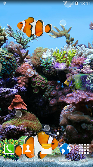 Скачать Coral fish 3D - бесплатные живые обои для Андроида на рабочий стол.