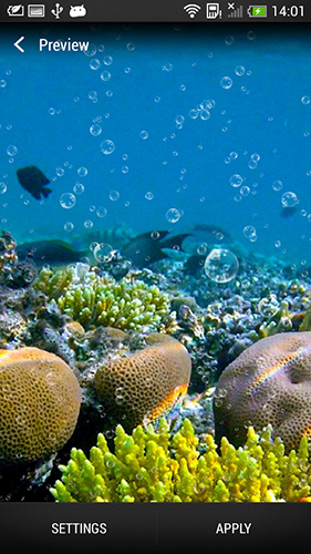 Скачать Coral reef - бесплатные живые обои для Андроида на рабочий стол.