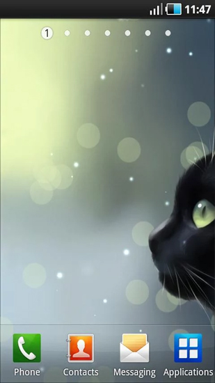 Скриншот экрана Curious Cat на телефоне и планшете.