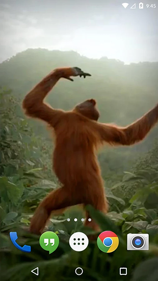 Скачать Dancing monkey - бесплатные живые обои для Андроида на рабочий стол.