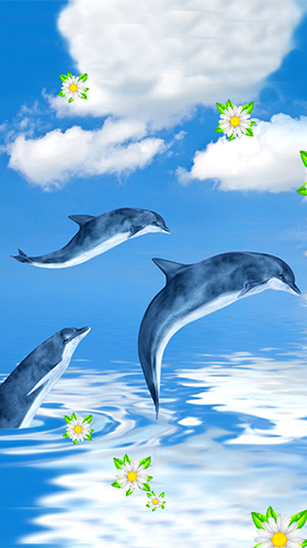 Скриншот экрана Dolphins by Latest Live Wallpapers на телефоне и планшете.