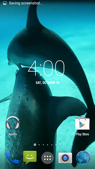 Скачать Dolphins HD - бесплатные живые обои для Андроида на рабочий стол.