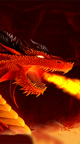 Скриншот экрана Fire dragon 3D на телефоне и планшете.