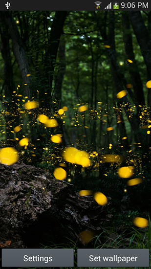 Скачать Fireflies by Top live wallpapers hq - бесплатные живые обои для Андроида на рабочий стол.
