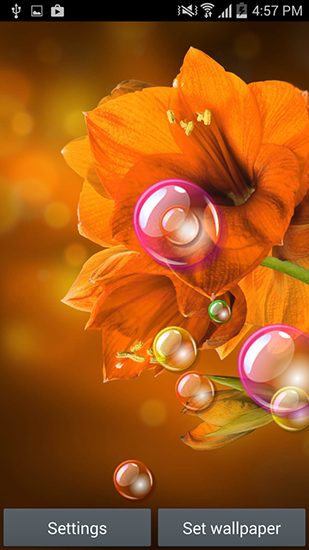 Скачать Flowers 2015 - бесплатные живые обои для Андроида на рабочий стол.