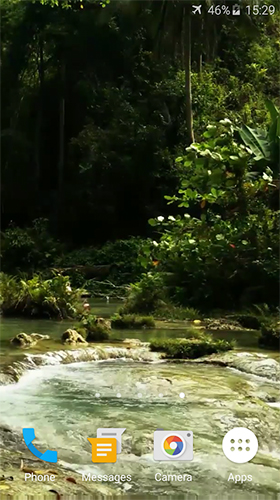 Скриншот экрана Forest stream на телефоне и планшете.