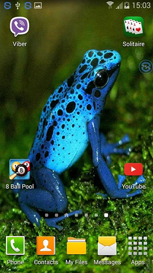 Скачать Frogs: shake and change - бесплатные живые обои для Андроида на рабочий стол.