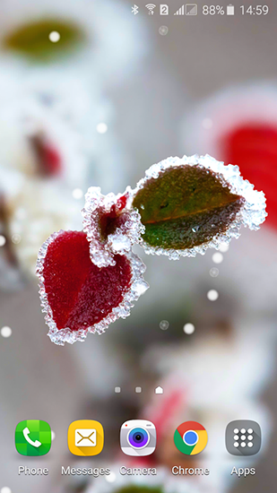 Скачать Frozen beauty: Winter tale - бесплатные живые обои для Андроида на рабочий стол.