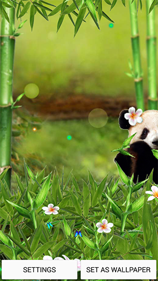 Скачать Funny panda - бесплатные живые обои для Андроида на рабочий стол.