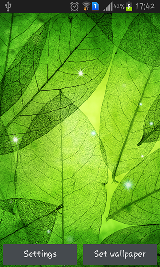 Скачать Green leaves - бесплатные живые обои для Андроида на рабочий стол.