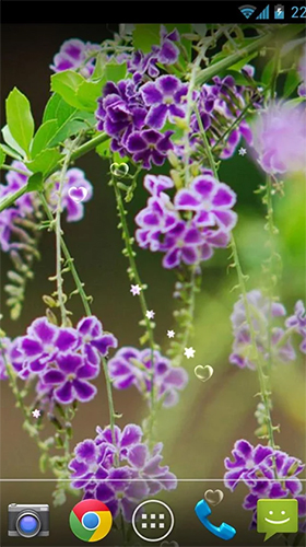 Скриншот экрана Lavender by orchid на телефоне и планшете.