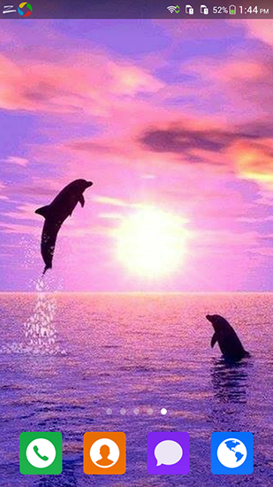 Скачать Lovely dolphin - бесплатные живые обои для Андроида на рабочий стол.