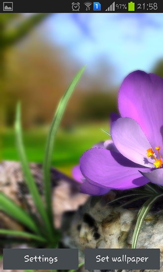Скачать Nature live: Spring flowers 3D - бесплатные живые обои для Андроида на рабочий стол.