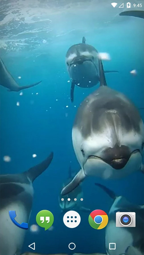 Скриншот экрана Ocean 3D: Dolphin на телефоне и планшете.