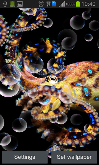 Скачать Octopus - бесплатные живые обои для Андроида на рабочий стол.