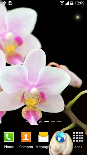 Скачать Orchids - бесплатные живые обои для Андроида на рабочий стол.