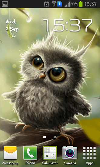 Скачать Owl chick - бесплатные живые обои для Андроида на рабочий стол.