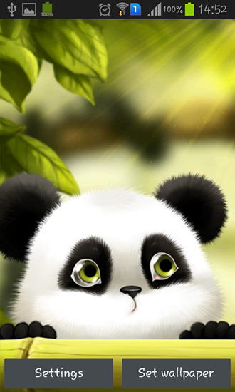 Скачать Panda - бесплатные живые обои для Андроида на рабочий стол.