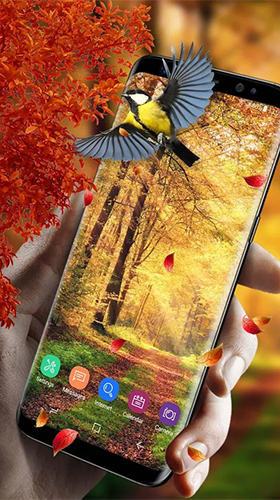 Скриншот экрана Picturesque nature на телефоне и планшете.