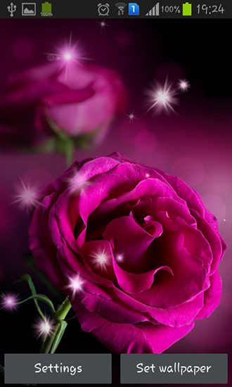 Скачать Pink roses - бесплатные живые обои для Андроида на рабочий стол.