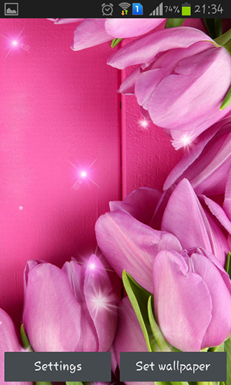 Скачать Pink tulips - бесплатные живые обои для Андроида на рабочий стол.