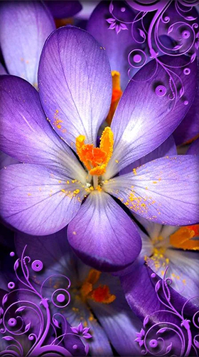 Скриншот экрана Purple flowers на телефоне и планшете.