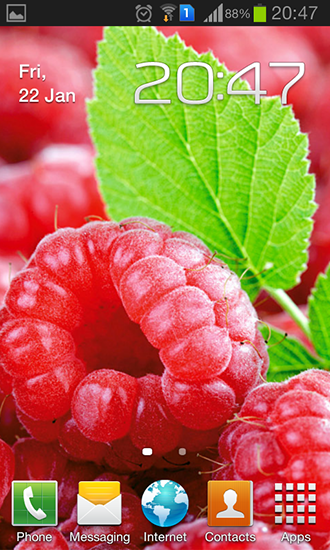 Скачать Raspberries - бесплатные живые обои для Андроида на рабочий стол.