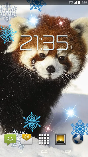 Скачать Red panda - бесплатные живые обои для Андроида на рабочий стол.