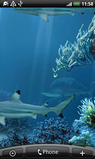 Скачать Shark reef - бесплатные живые обои для Андроида на рабочий стол.