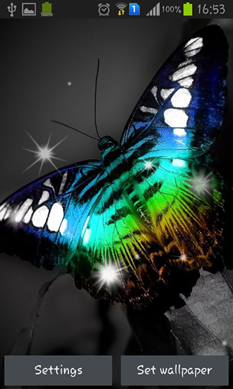 Скачать Shiny butterfly - бесплатные живые обои для Андроида на рабочий стол.