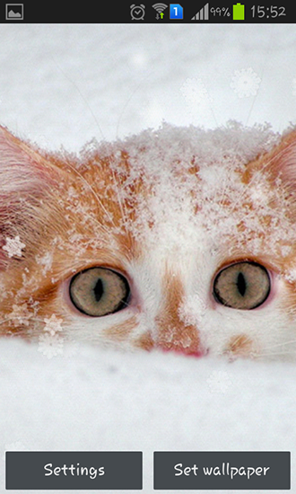 Скачать Snow cats - бесплатные живые обои для Андроида на рабочий стол.