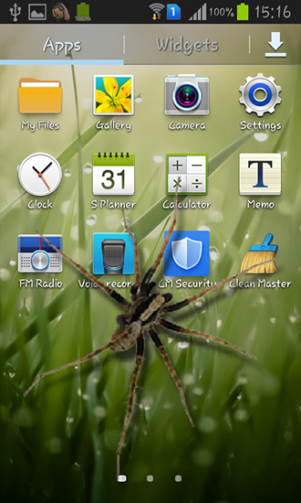 Скачать Spider in phone - бесплатные живые обои для Андроида на рабочий стол.