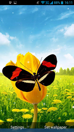 Скачать Spring butterflies - бесплатные живые обои для Андроида на рабочий стол.