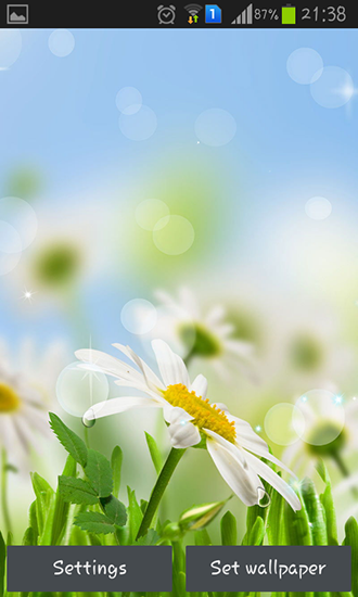 Скачать Spring flower - бесплатные живые обои для Андроида на рабочий стол.