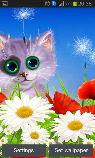 Скачать Spring: Kitten - бесплатные живые обои для Андроида на рабочий стол.