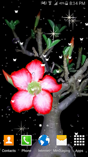 Скачать Summer flowers by Stechsolutions - бесплатные живые обои для Андроида на рабочий стол.