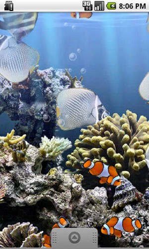 Скачать The real aquarium - бесплатные живые обои для Андроида на рабочий стол.