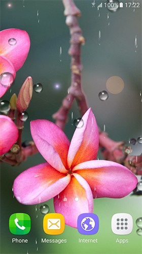 Скриншот экрана Tropical flowers на телефоне и планшете.