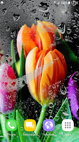Скриншот экрана Tulips by Live Wallpapers 3D на телефоне и планшете.