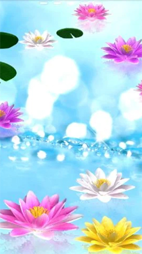 Скриншот экрана Water lily на телефоне и планшете.