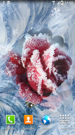 Скачать Winter flowers - бесплатные живые обои для Андроида на рабочий стол.